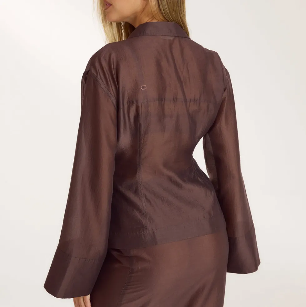 Chemise Ajustée Transparente - Chocolat